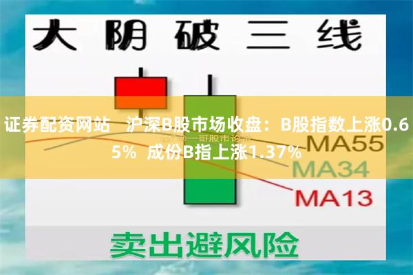 证券配资网站   沪深B股市场收盘：B股指数上涨0.65%  成份B指上涨1.37%