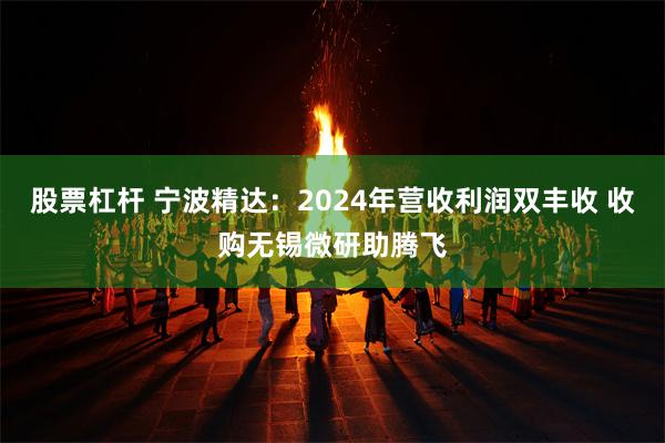 股票杠杆 宁波精达：2024年营收利润双丰收 收购无锡微研助腾飞