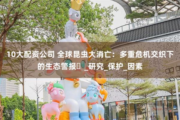 10大配资公司 全球昆虫大消亡：多重危机交织下的生态警报​_研究_保护_因素
