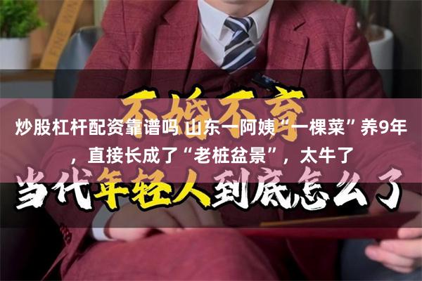炒股杠杆配资靠谱吗 山东一阿姨“一棵菜”养9年，直接长成了“老桩盆景”，太牛了