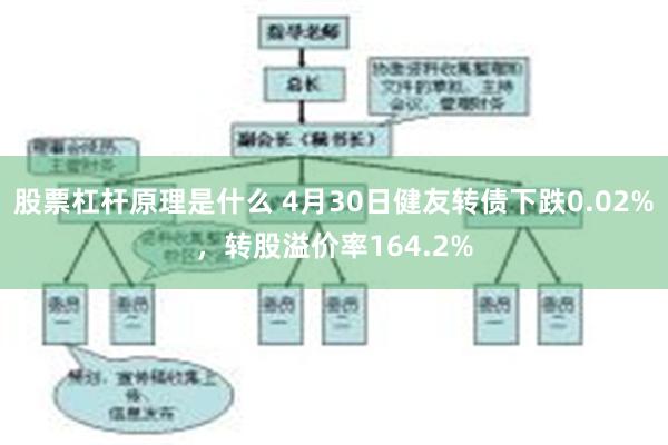 股票杠杆原理是什么 4月30日健友转债下跌0.02%，转股溢价率164.2%