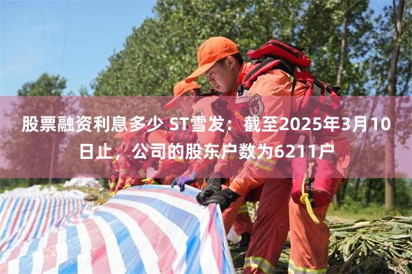 股票融资利息多少 ST雪发：截至2025年3月10日止，公司的股东户数为6211户