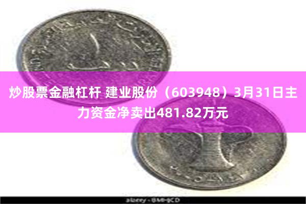 炒股票金融杠杆 建业股份（603948）3月31日主力资金净卖出481.82万元