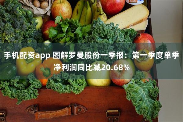 手机配资app 图解罗曼股份一季报：第一季度单季净利润同比减20.68%
