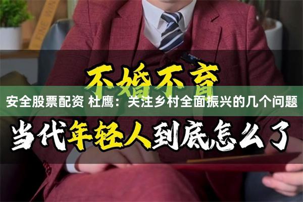 安全股票配资 杜鹰：关注乡村全面振兴的几个问题