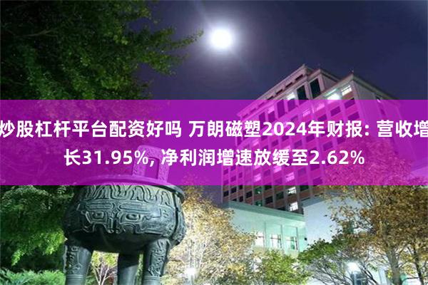 炒股杠杆平台配资好吗 万朗磁塑2024年财报: 营收增长31.95%, 净利润增速放缓至2.62%