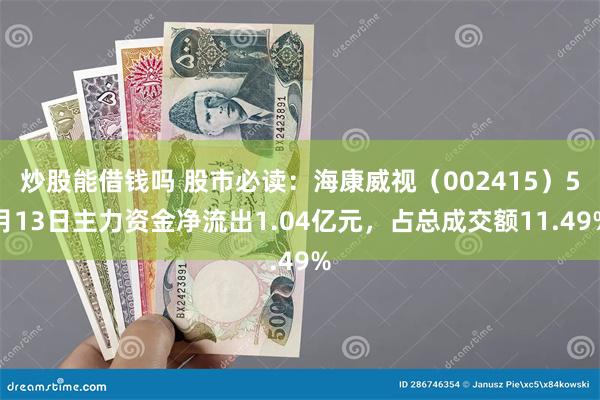 炒股能借钱吗 股市必读：海康威视（002415）5月13日主力资金净流出1.04亿元，占总成交额11.49%