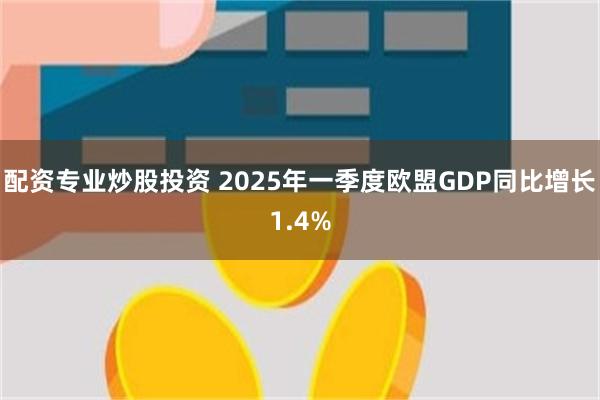 配资专业炒股投资 2025年一季度欧盟GDP同比增长1.4%