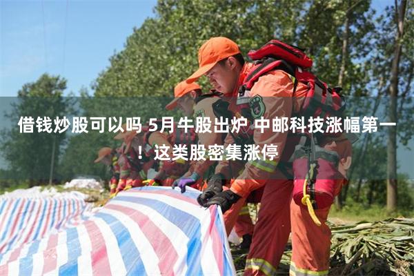 借钱炒股可以吗 5月牛股出炉 中邮科技涨幅第一！这类股密集涨停