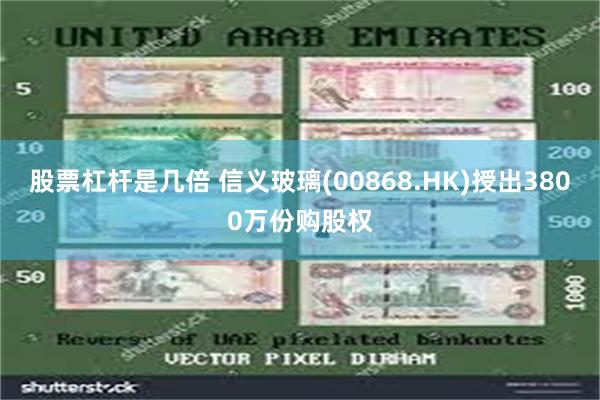 股票杠杆是几倍 信义玻璃(00868.HK)授出3800万份购股权