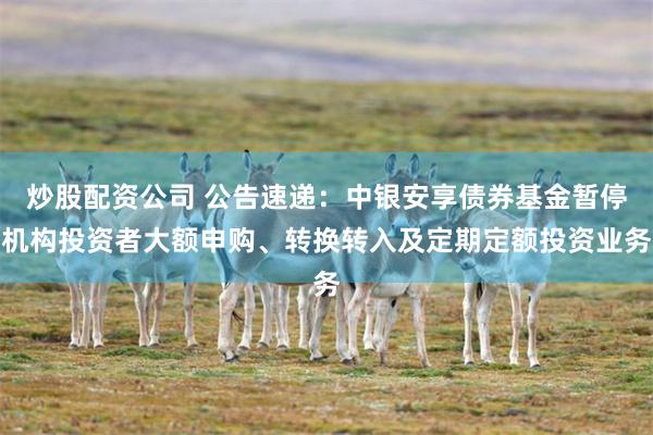 炒股配资公司 公告速递：中银安享债券基金暂停机构投资者大额申购、转换转入及定期定额投资业务