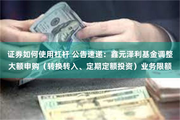 证券如何使用杠杆 公告速递：鑫元泽利基金调整大额申购（转换转入、定期定额投资）业务限额