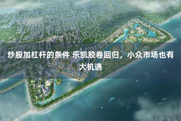 炒股加杠杆的条件 乐凯胶卷回归，小众市场也有大机遇