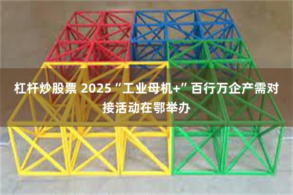 杠杆炒股票 2025“工业母机+”百行万企产需对接活动在鄂举办