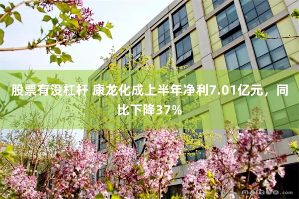 股票有没杠杆 康龙化成上半年净利7.01亿元，同比下降37%