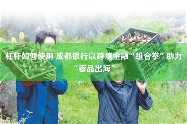杠杆如何使用 成都银行以跨境金融“组合拳”助力“蓉品出海”