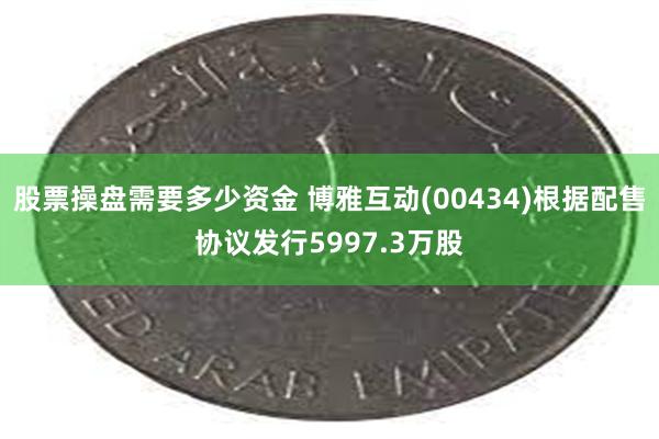 股票操盘需要多少资金 博雅互动(00434)根据配售协议发行5997.3万股